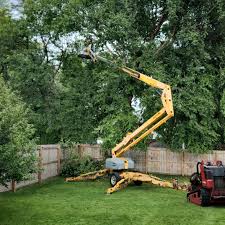 Best Hedge Trimming  in Juneau, AK